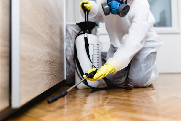 Best Pest Removal Services  in Breaux Bridge, LA