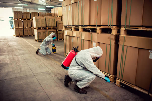 Best Cockroach Control Services  in Breaux Bridge, LA