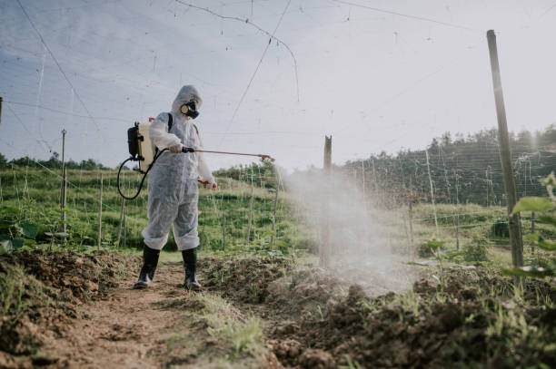 Best Best Pest Control Companies  in Breaux Bridge, LA