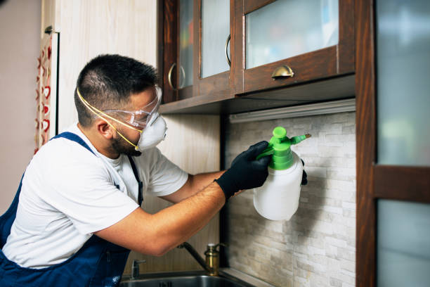 Best Mosquito Control Services  in Breaux Bridge, LA
