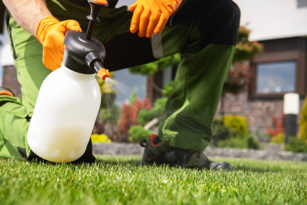 Best Local Pest Control Services  in Breaux Bridge, LA
