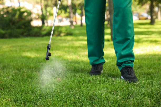 Best Wasp Removal Services  in Breaux Bridge, LA