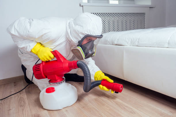 Best Emergency Pest Control  in Breaux Bridge, LA