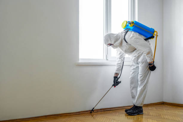 Best Cockroach Control Services  in Breaux Bridge, LA
