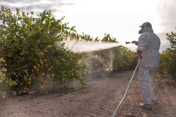 Best Commercial Pest Control Services  in Breaux Bridge, LA