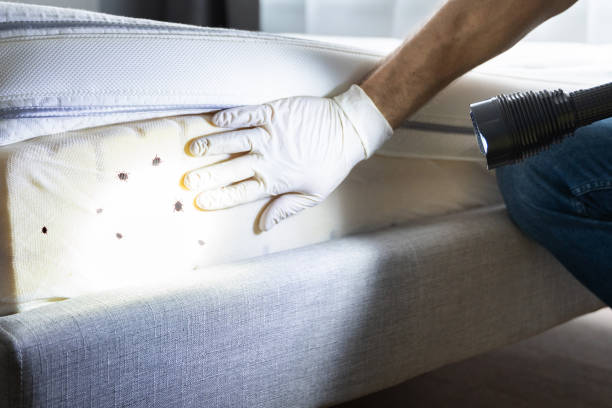 Best Exterminator Services  in Breaux Bridge, LA